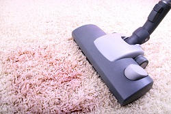 swiss cottage domestic cleaning carpet around nw3