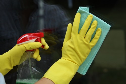 Domestic cleaning essentials for a tidy home