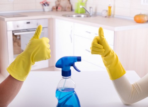Regular cleaning supplies and a tidy home interior