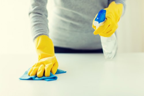 Deep move out cleaning of a bathroom with polished fixtures