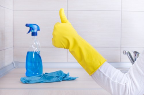 Professional domestic cleaning for busy households