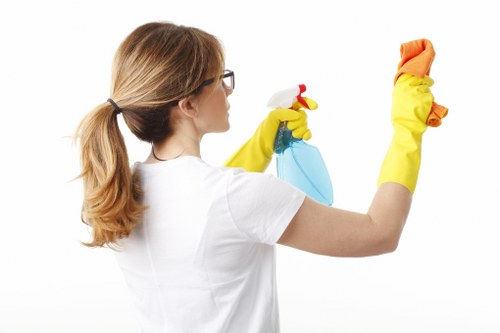 Clean glass windows after professional cleaning