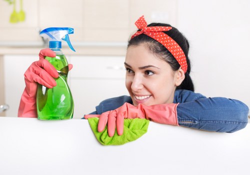 Step-by-step mattress deep cleaning process at home
