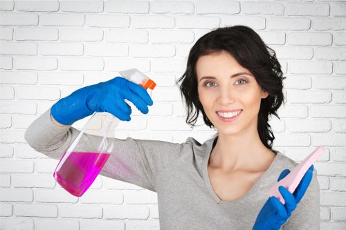 Cleaning supplies used for mattress stain removal