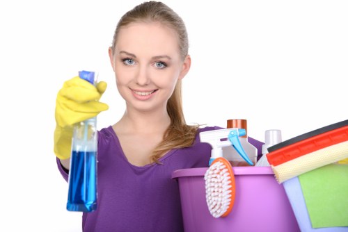 Disinfected kitchen and bathroom surfaces during regular cleaning