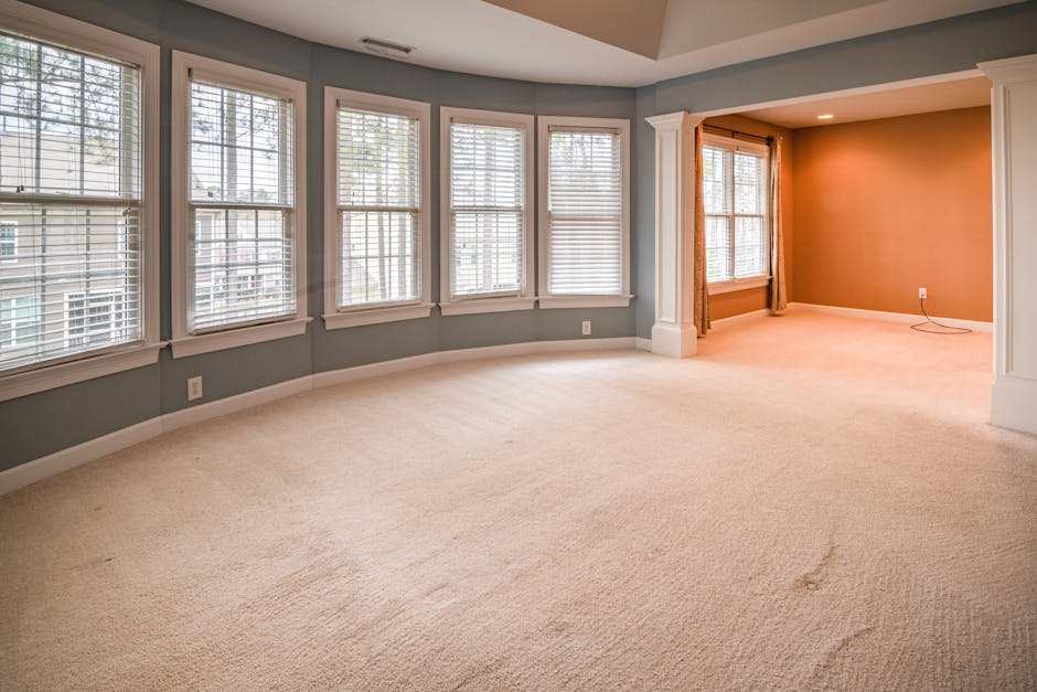 A person is using a black vacuum cleaner to deep clean a patterned, plush area rug with floral motifs in a well-lit room. The vacuum head is pressed firmly onto the rug, which has a mix of pastel colo